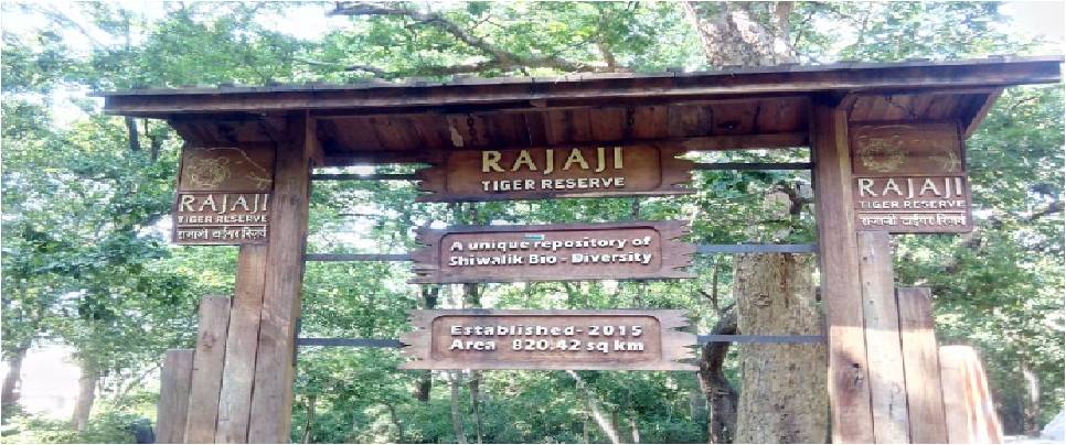 National Park Rajaji Safari Uttarakhand India